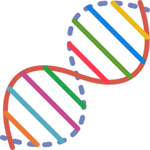 Next Generation DNA Sequencing at Fry Laboratories LLC