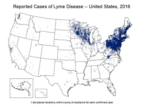 Lyme Disease and Detection at Fry Laboratories LLC