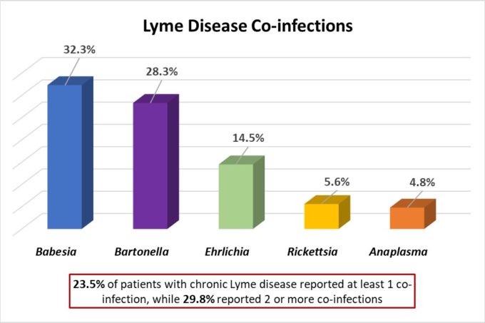 Lyme Disease and Detection at Fry Laboratories LLC
